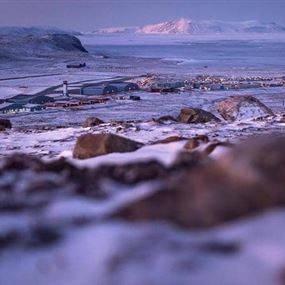 ترامب يفعلها مجددا: صورة وتغريدة عن شراء أكبر جزيرة بالعالم