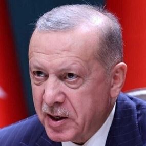أردوغان: تركيا مستعدة لإقامة قاعدة بحرية في قبرص إذا دعت الحاجة